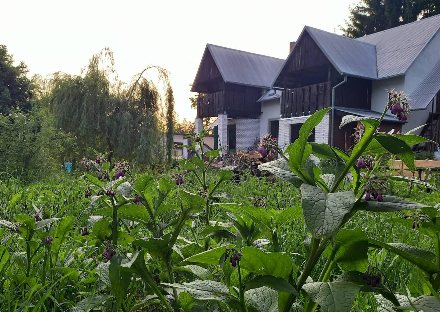 Po Kolei Habitat gallery — agritourism in the Lublin region