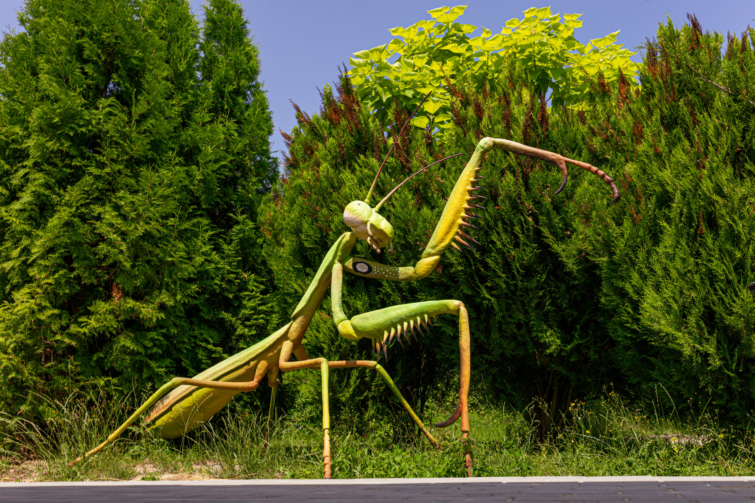Owadolandia Wojciechów